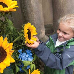 Chorley Flower Show - Sunflower-girl
